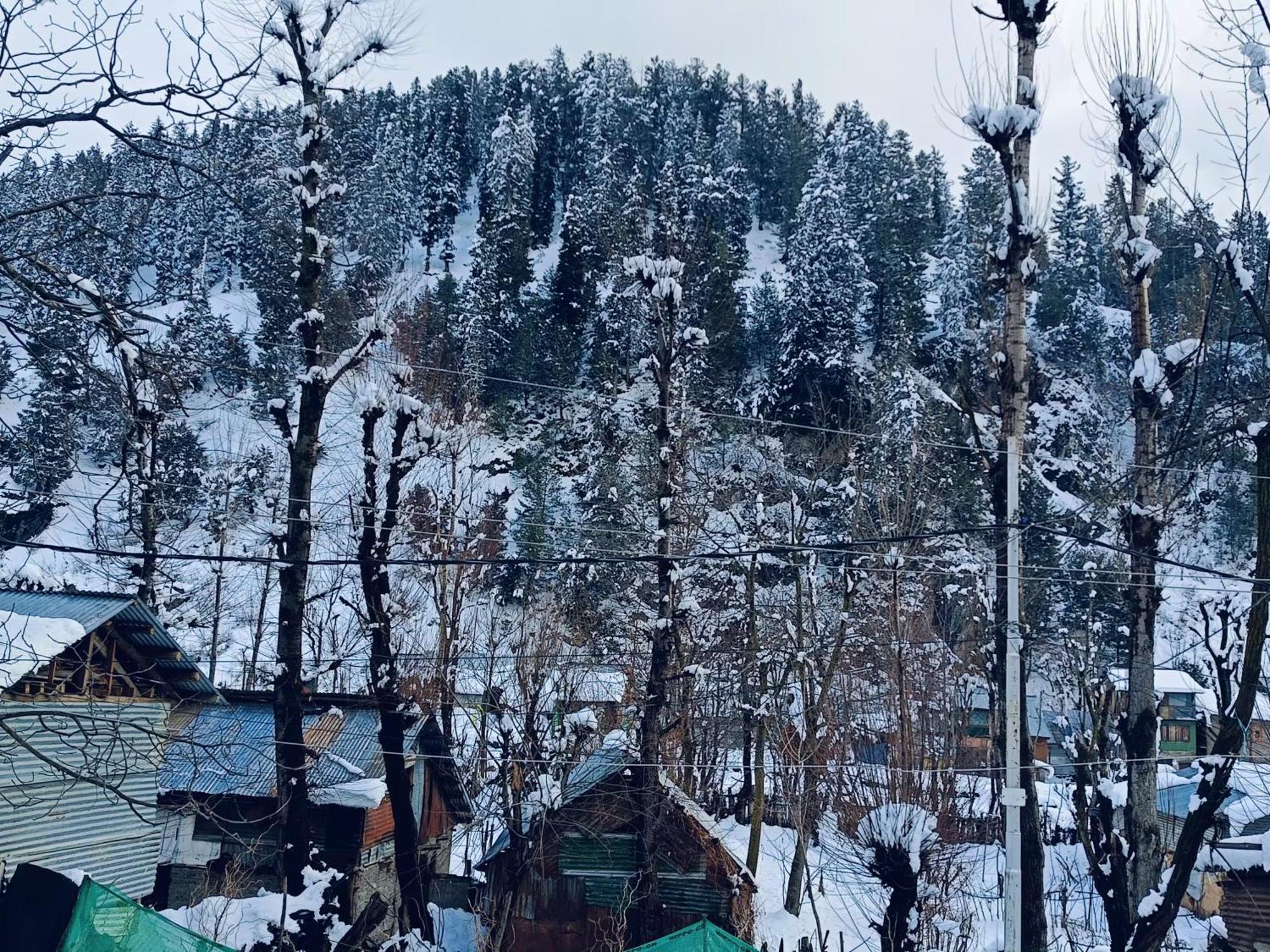 Mir Guest House Pahalgām Exterior foto